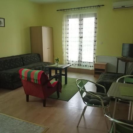 Apartments Hadzi Soko Banja Exterior photo