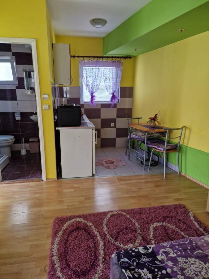 Apartments Hadzi Soko Banja Exterior photo
