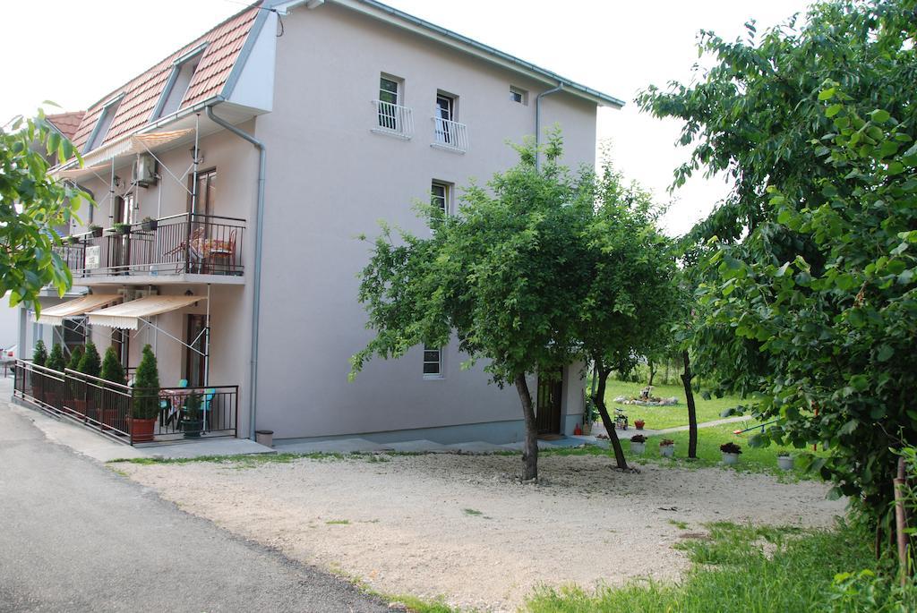 Apartments Hadzi Soko Banja Exterior photo